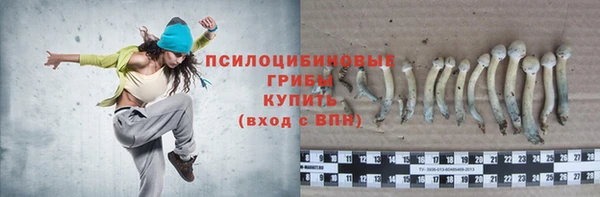 каннабис Алексеевка