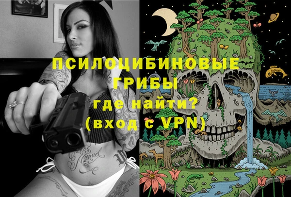 экстази Новодвинск