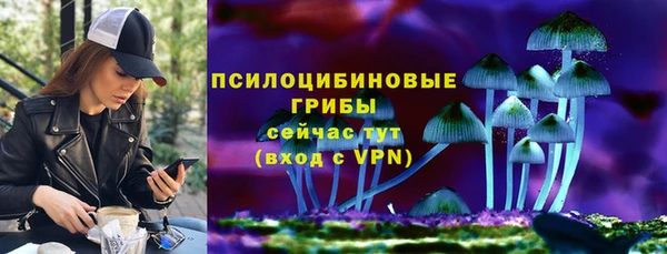 шишки Алзамай